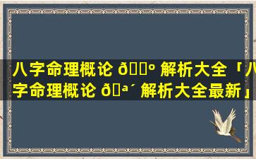 八字命理概论 🐺 解析大全「八字命理概论 🪴 解析大全最新」